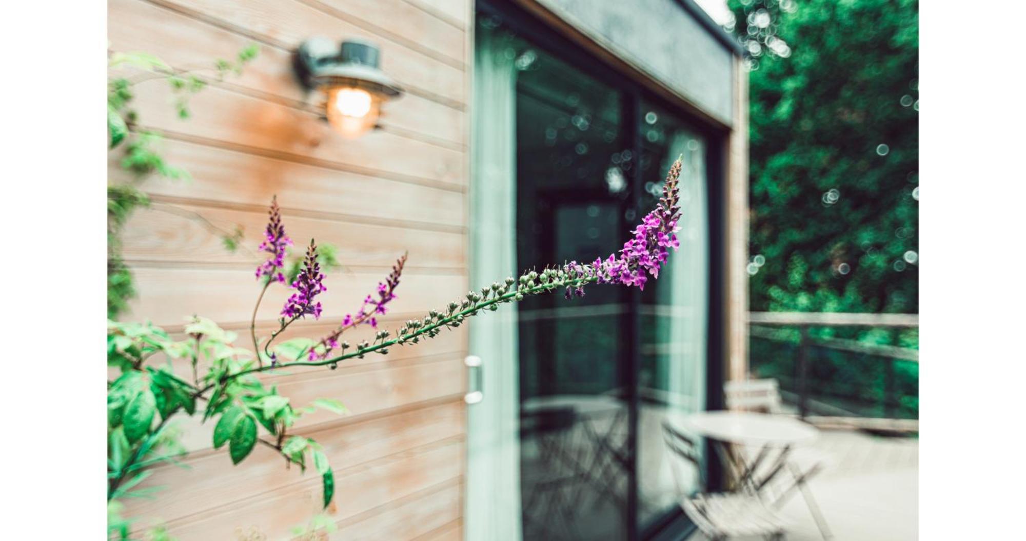 Clophill Eco Lodges Eksteriør bilde